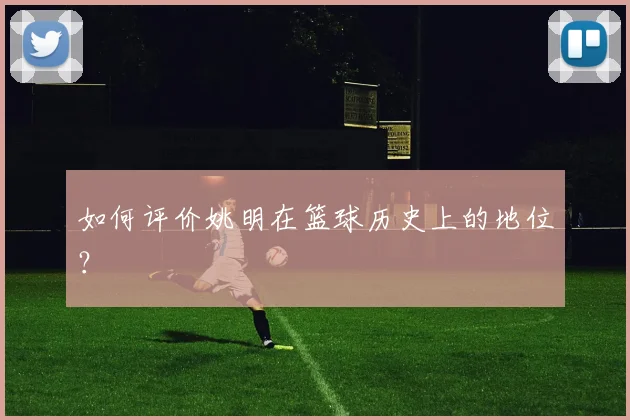 如何评价姚明在篮球历史上的地位?