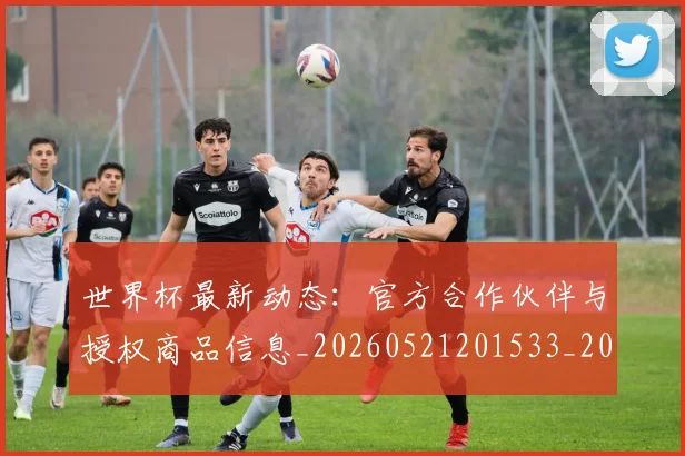 世界杯最新动态：官方合作伙伴与授权商品信息_20260521201533_20260702174048_20260715191002